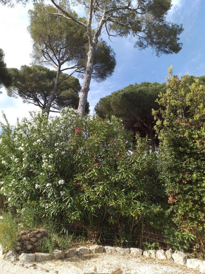 Villa Mediterranea Les Issambres Zewnętrze zdjęcie